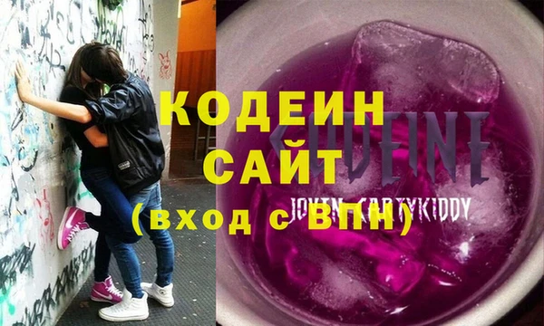индика Няндома