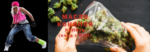 индика Няндома