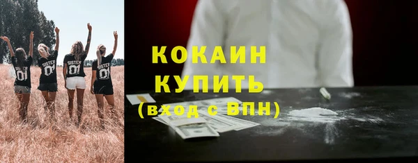 индика Няндома