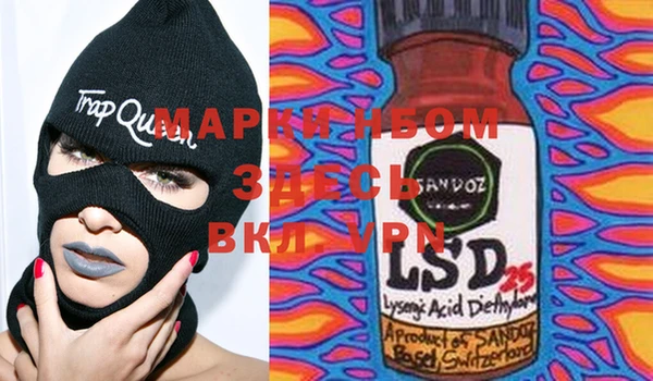 индика Няндома