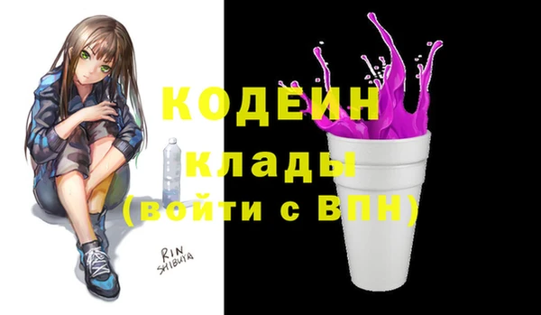 индика Няндома