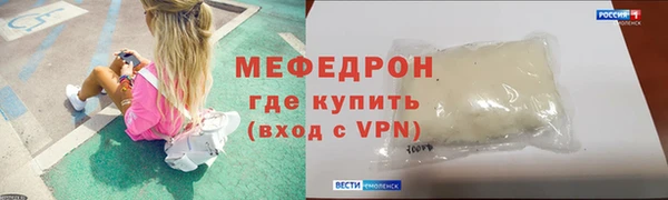 индика Няндома