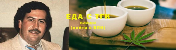 индика Няндома