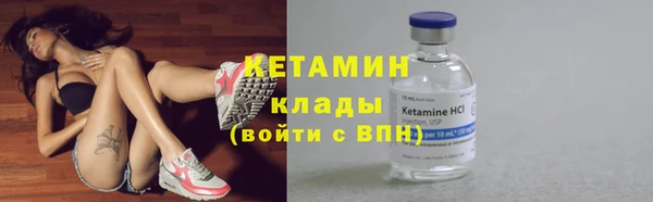 индика Няндома
