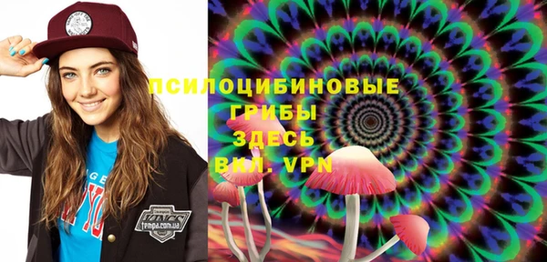 индика Няндома