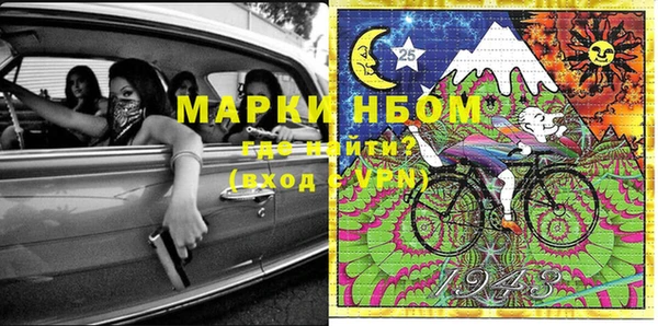 индика Няндома