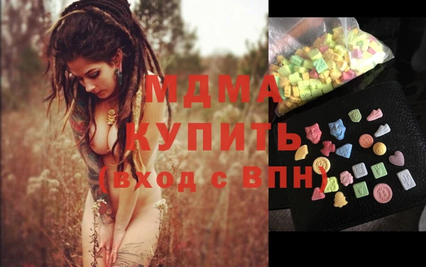 индика Няндома