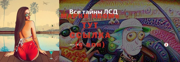 индика Няндома