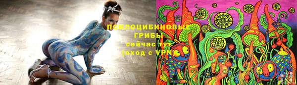мдпв Чердынь