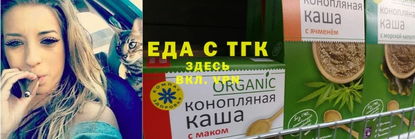 индика Няндома