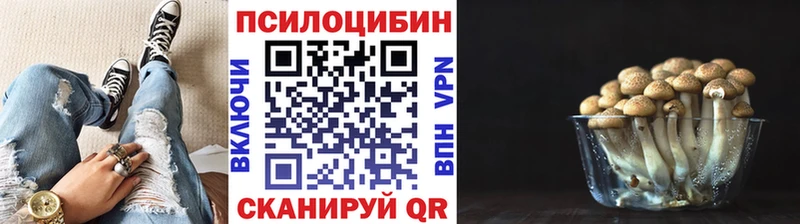 Псилоцибиновые грибы мицелий Кондопога