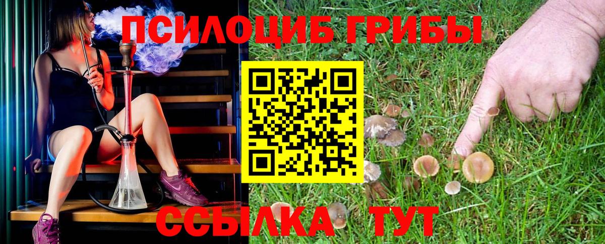 сколько стоит  Кондопога  Галлюциногенные грибы Psilocybine cubensis  Галлюциногенные грибы ЛСД 