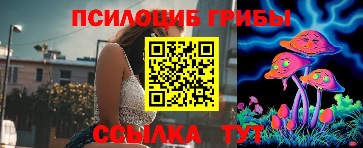 Кондопога  Псилоцибиновые грибы прущие грибы  Галлюциногенные грибы мухоморы  Вход с VPN 