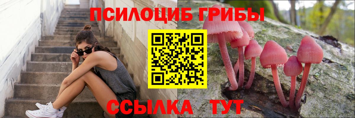 Псилоцибиновые грибы прущие грибы Кондопога
