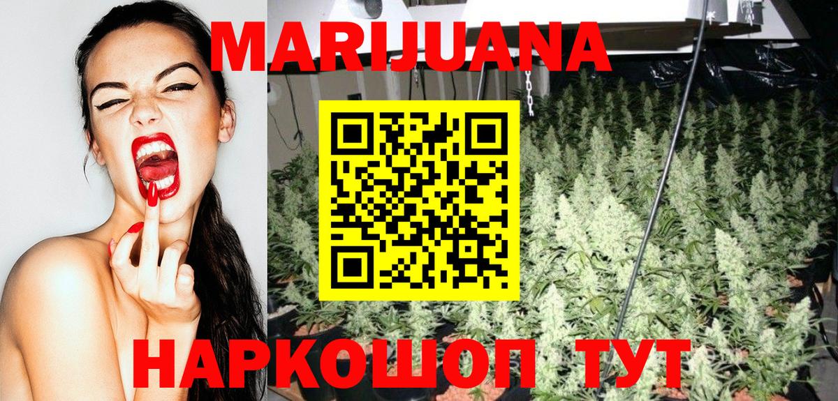 Каннабис сатива Кондопога